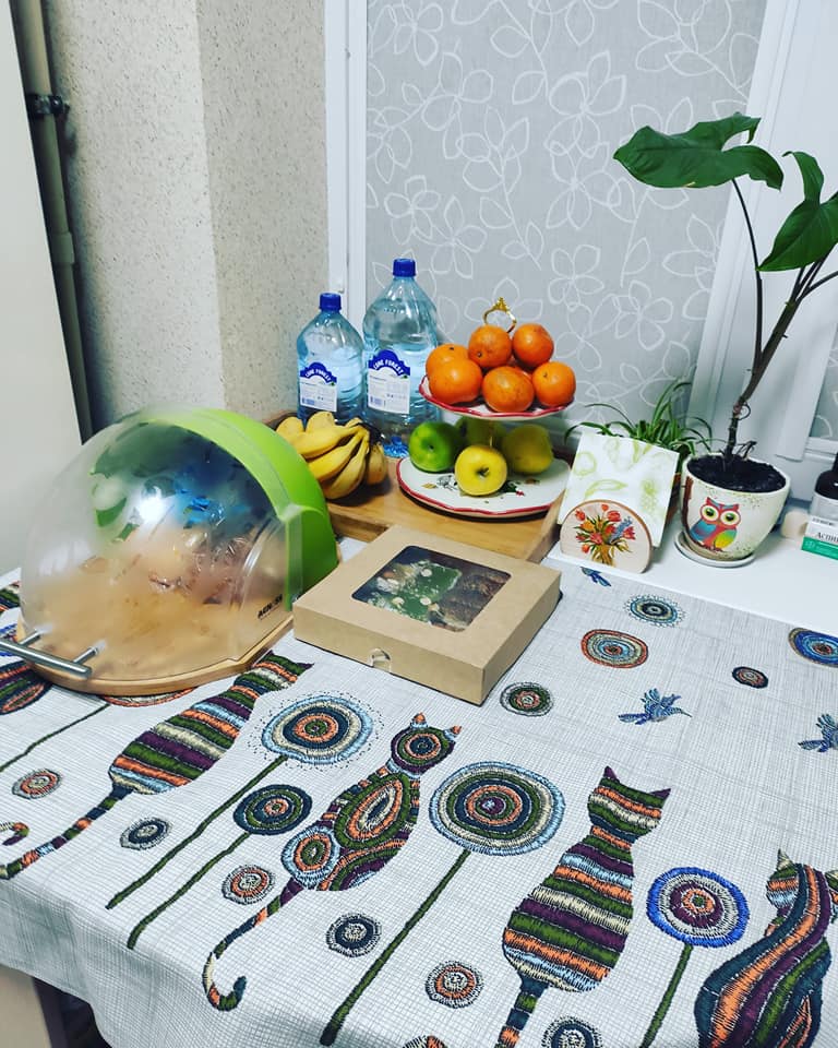 24.02.21 01